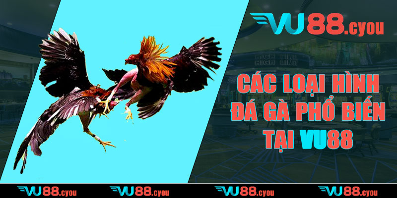 Các loại hình đá gà phổ biến tại VU88