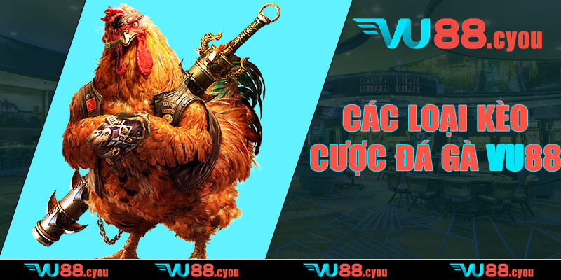 Các loại kèo cược đá gà VU88