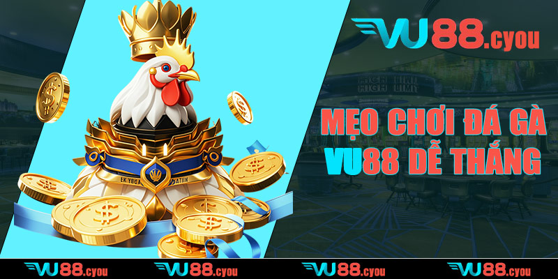 Mẹo chơi đá gà VU88 dễ thắng