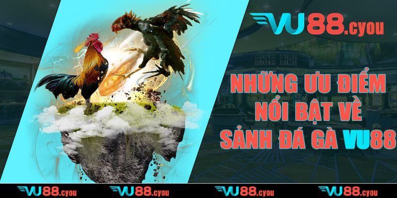 Những ưu điểm nổi bật về sảnh đá gà VU88